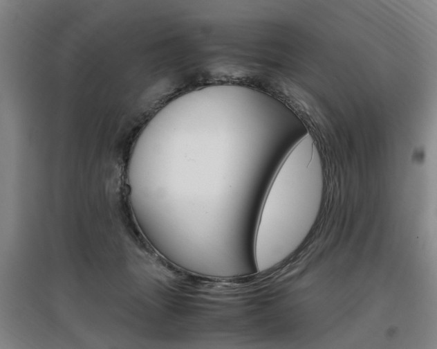 X0000097460463200802220810