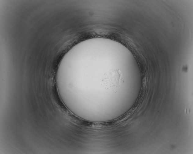 X0000097460464200802220810