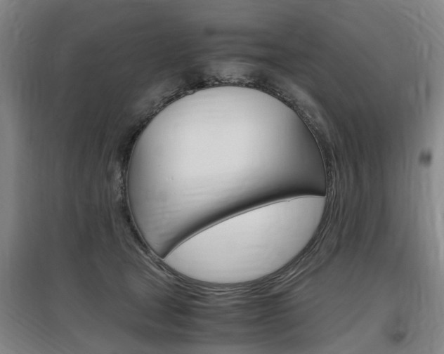 X0000097460465200802220810