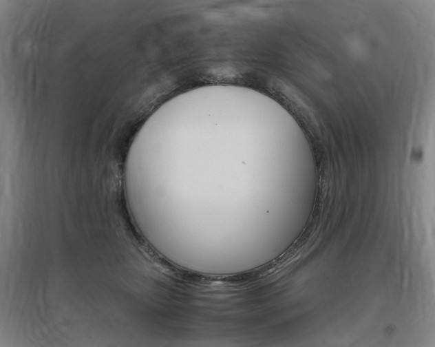 X0000097460467200802220811