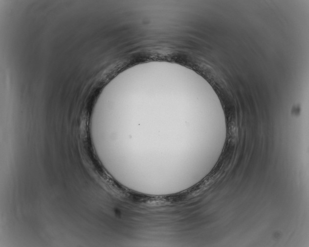 X0000097460468200802220811