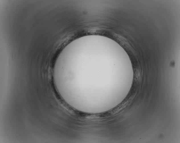 X0000097460470200802220811