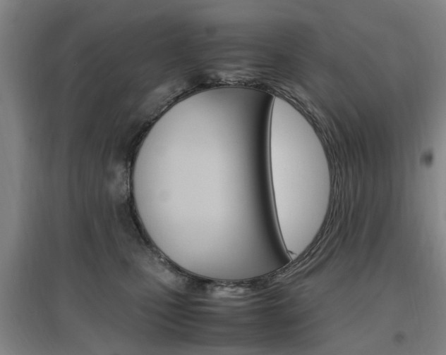 X0000097460471200802220811