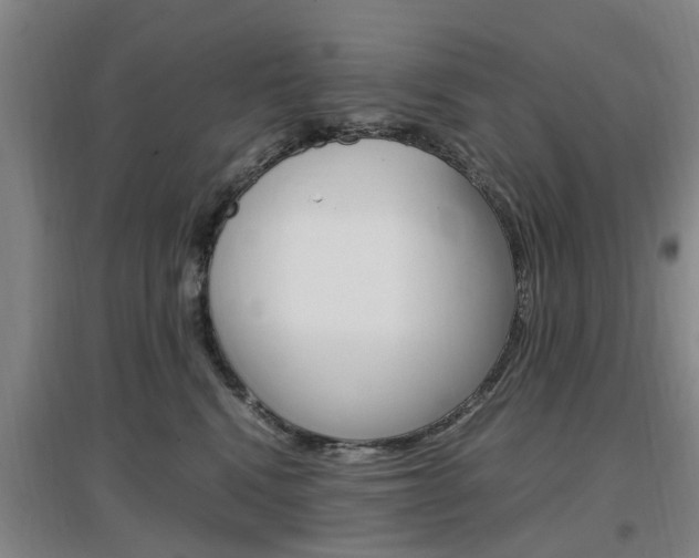 X0000097460472200802220811