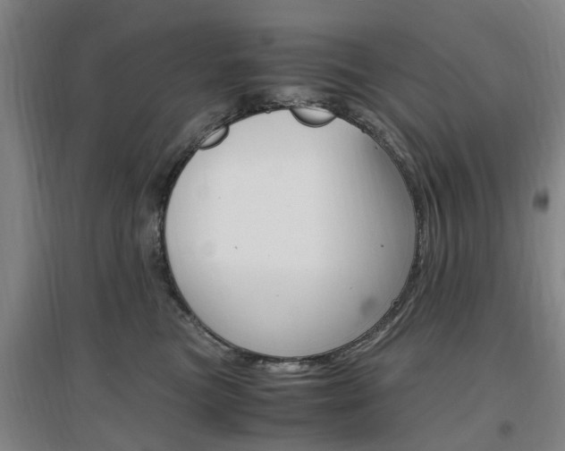 X0000097460473200802220811