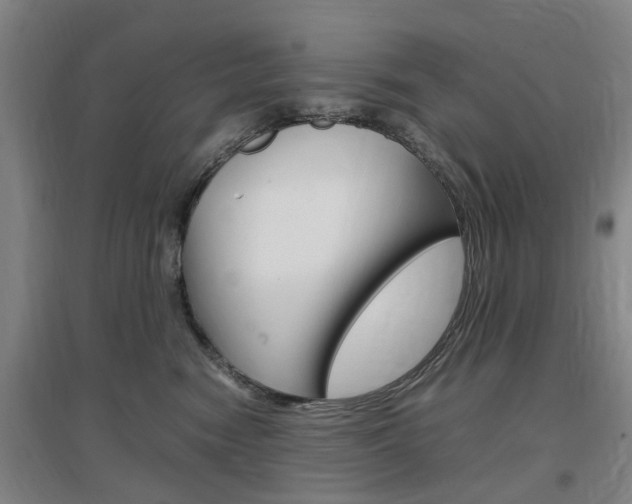 X0000097460474200802220811