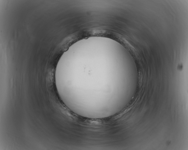 X0000097460475200802220811