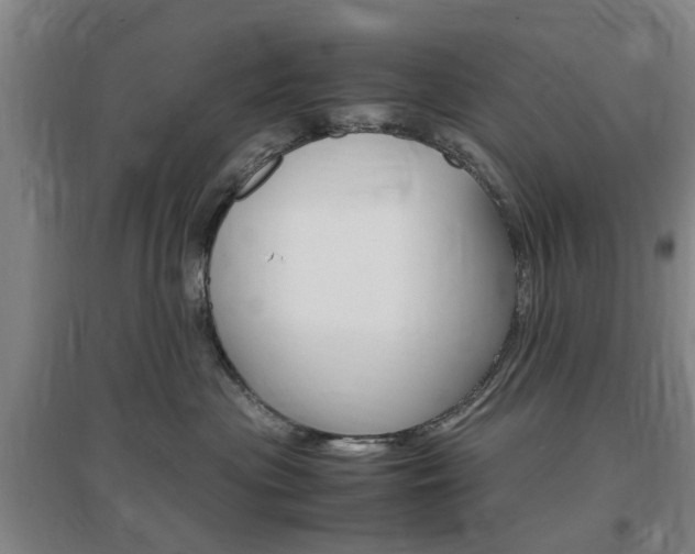 X0000097460477200802220811
