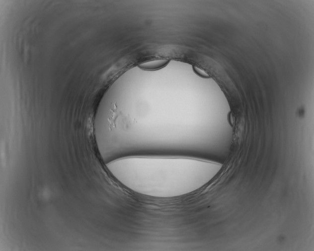 X0000097460478200802220811