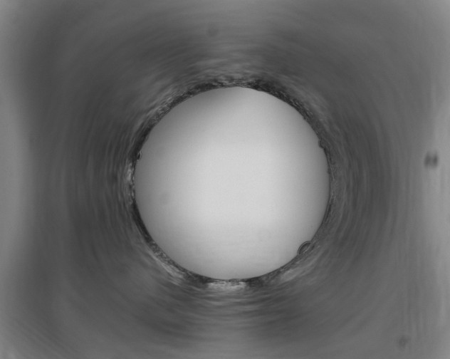 X0000097460480200802220811