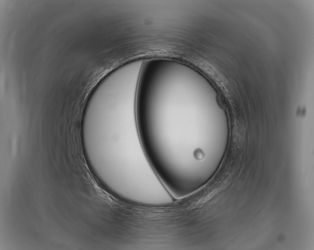 X0000097460481200802220810