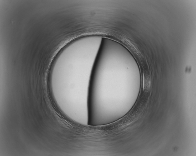 X0000097460483200802220810