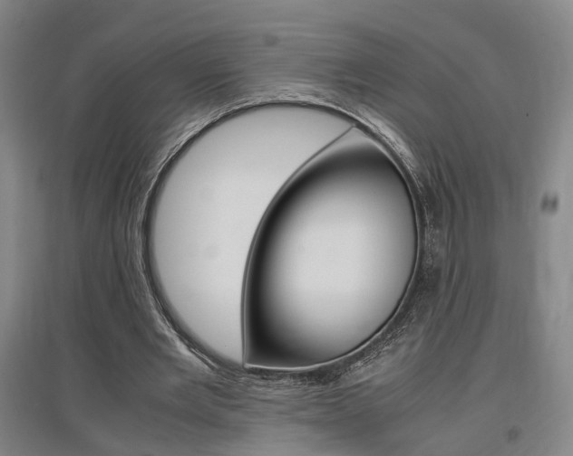 X0000097460485200802220810