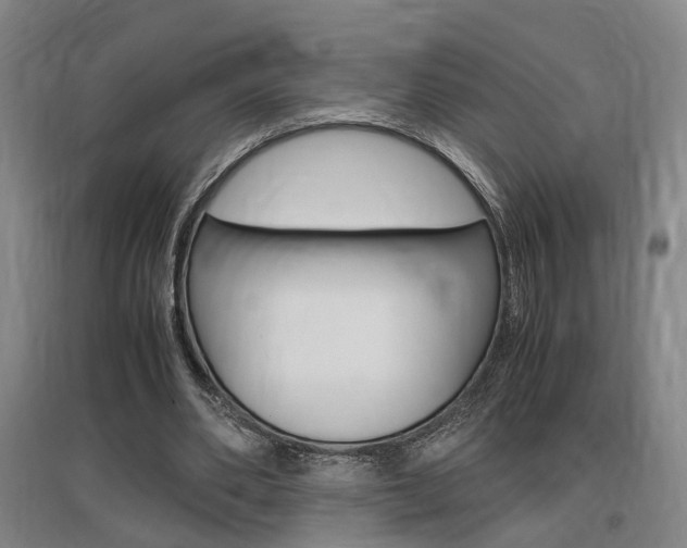 X0000097460486200802220810