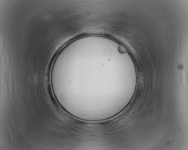 X0000097460487200802220810