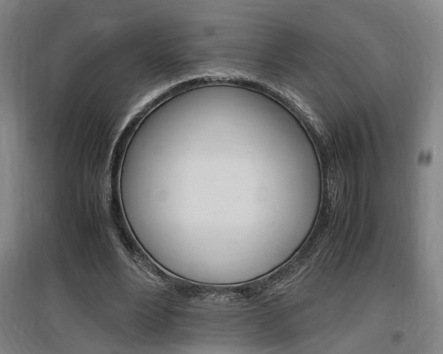 X0000097460488200802220810