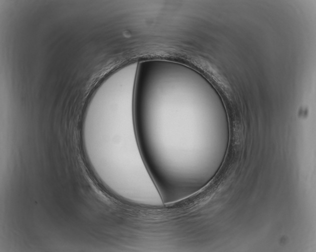 X0000097460489200802220810