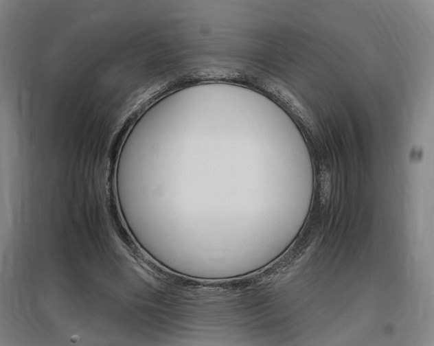 X0000097460490200802220810