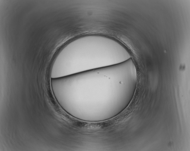 X0000097460491200802220810