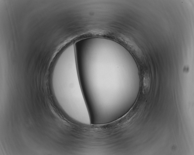 X0000097460492200802220810