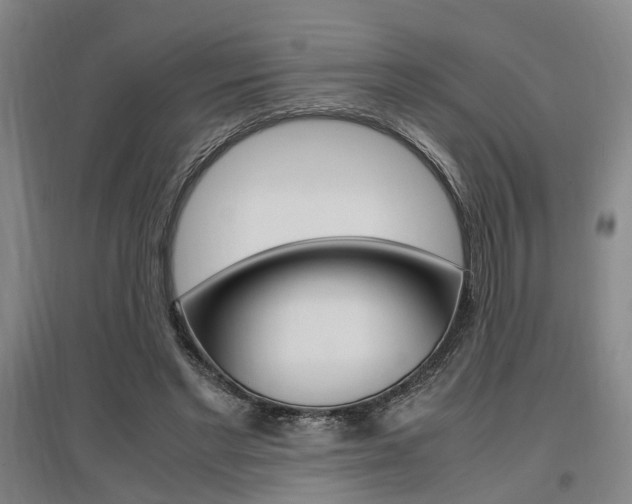 X0000097460493200802220810
