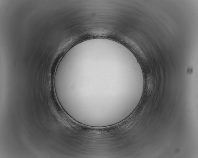 X0000097460494200802220810
