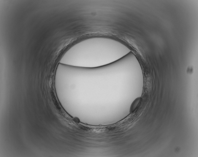 X0000097460495200802220810
