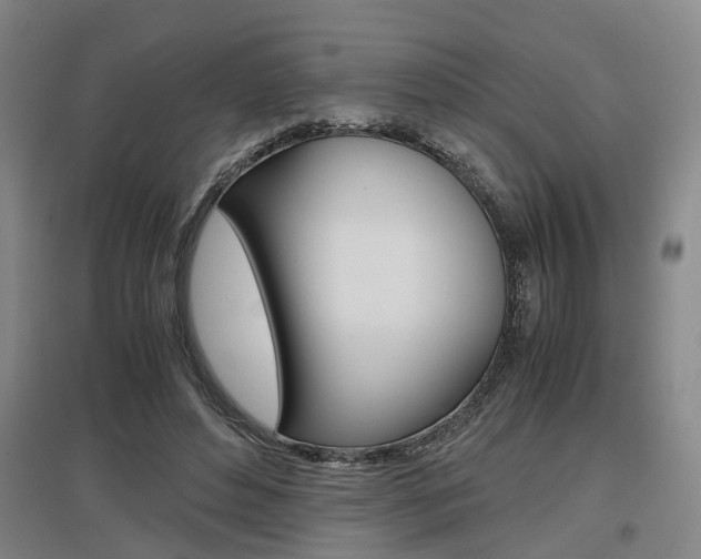 X0000097460496200802220809