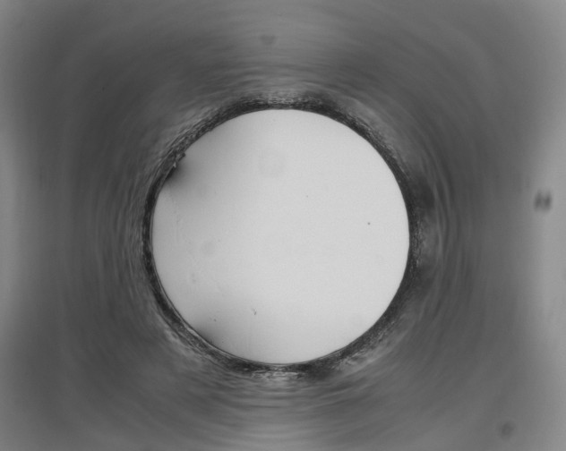 X0000097460497200802220809