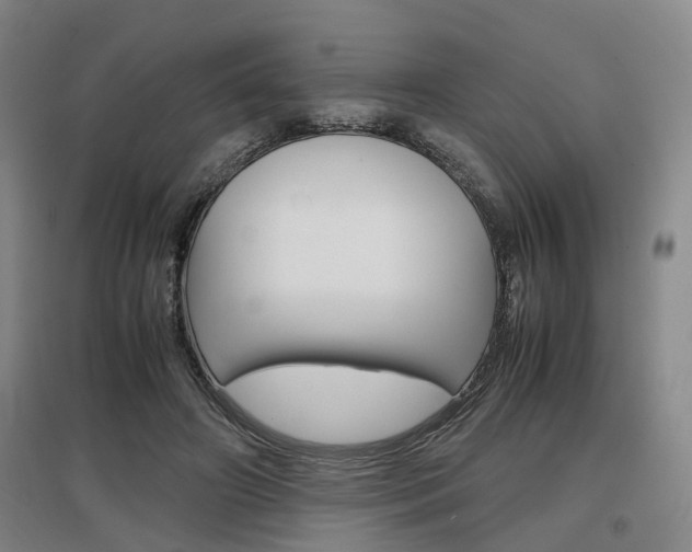 X0000097460498200802220809