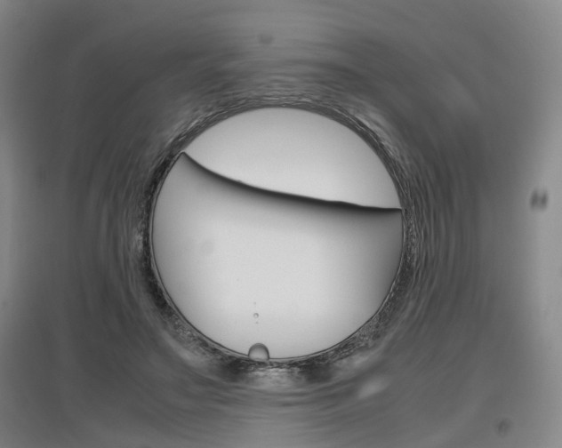 X0000097460499200802220809