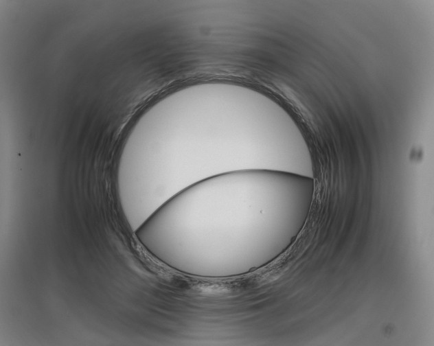 X0000097460500200802220809