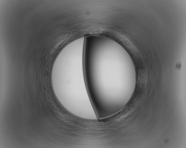 X0000097460501200802220809