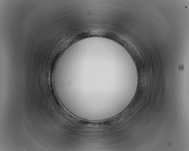 X0000097460502200802220809