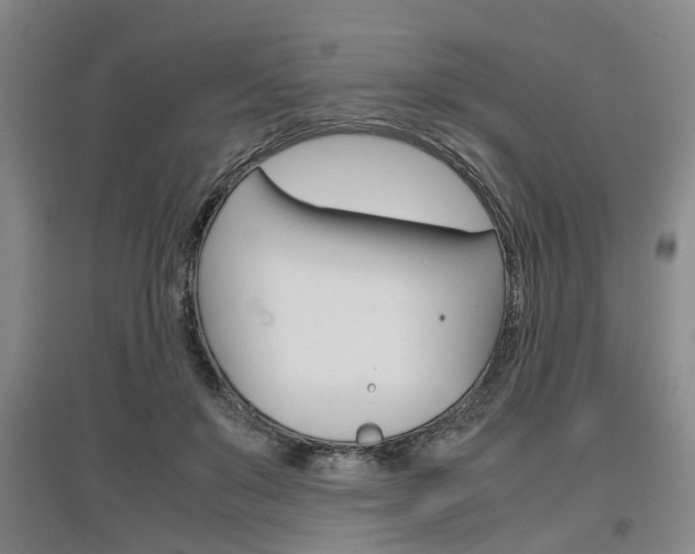 X0000097460503200802220809
