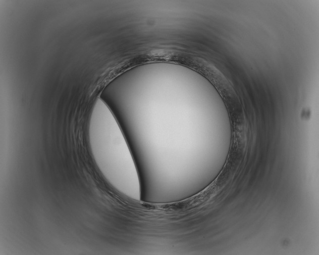 X0000097460504200802220809
