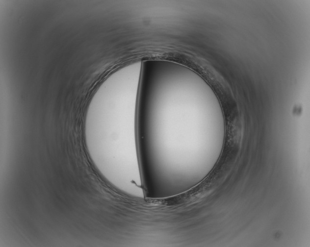 X0000097460505200802220809