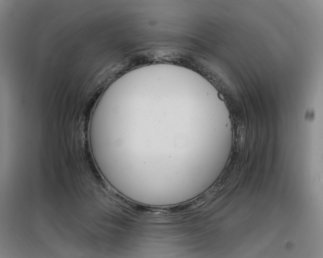 X0000097460506200802220809
