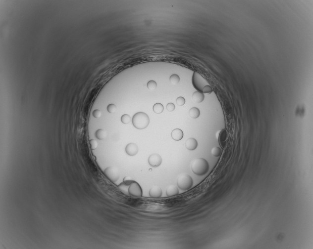X0000097460507200802220809