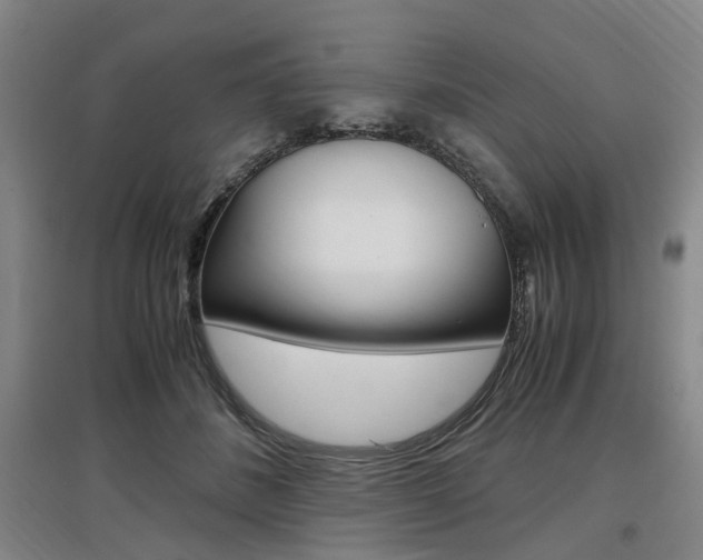 X0000097460508200802220809