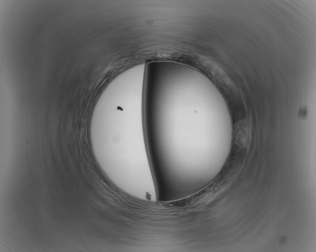 X0000097460509200802220809