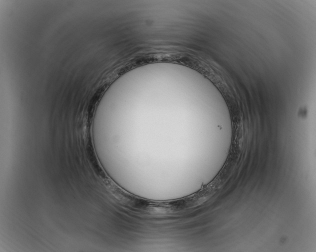 X0000097460510200802220809