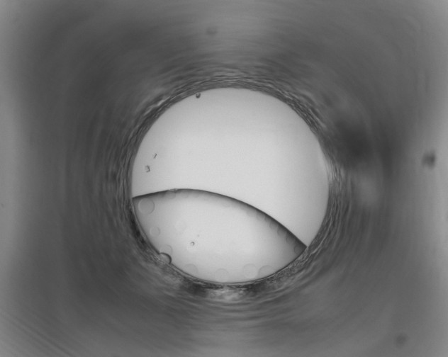 X0000097460511200802220809