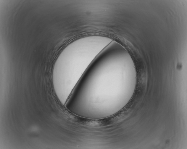X0000097460513200802220809