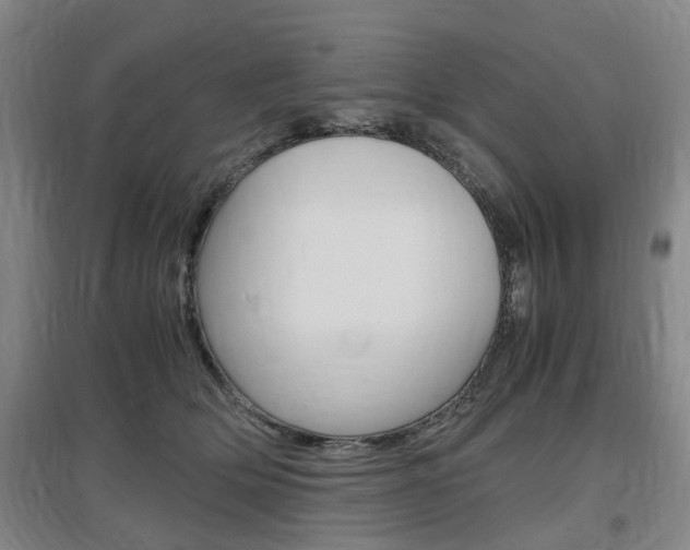 X0000097460514200802220809