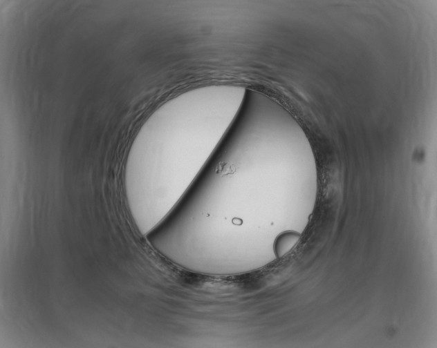 X0000097460515200802220809