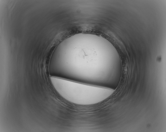 X0000097460516200802220809