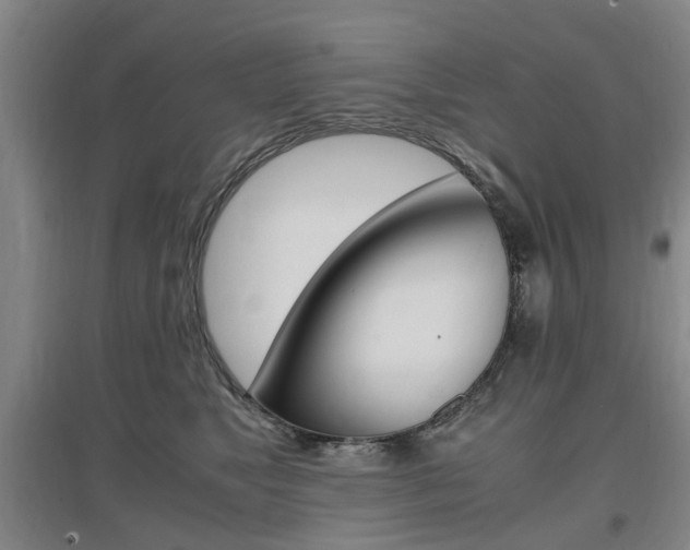 X0000097460517200802220809