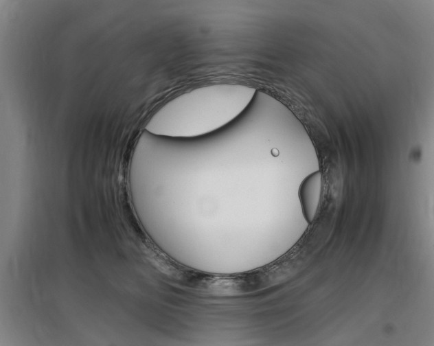 X0000097460518200802220809