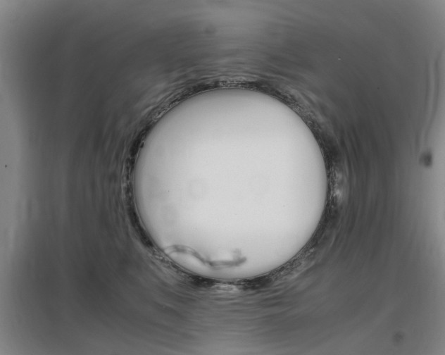 X0000097460519200802220809